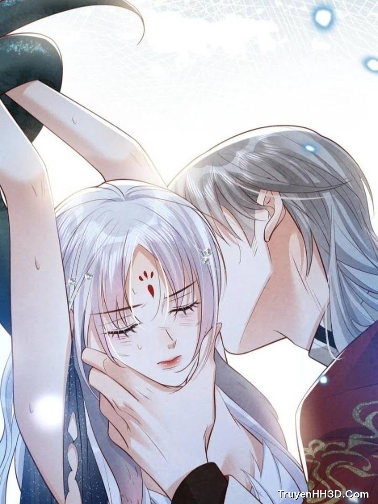 Bìa Chàng Rể Bác Sĩ