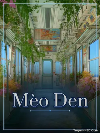 Bìa Mèo Đen