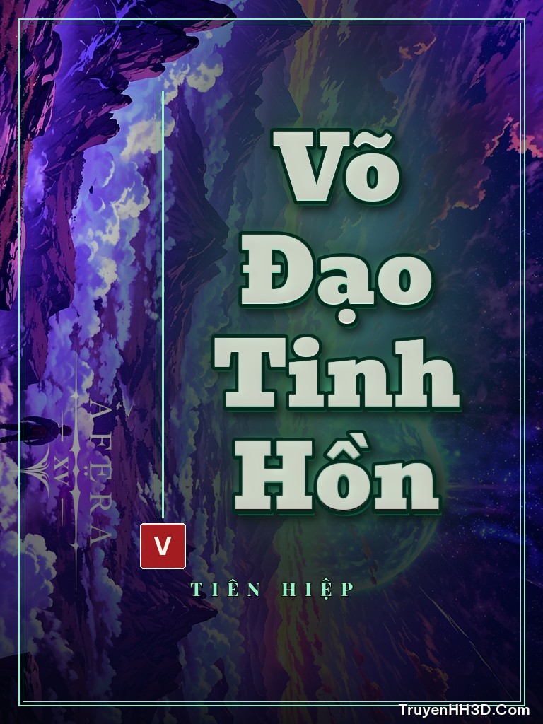 Bìa Võ Đạo Tinh Hồn